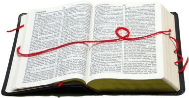 Eden to Calvary: The Scarlet Thread of&nbsp;Redemption